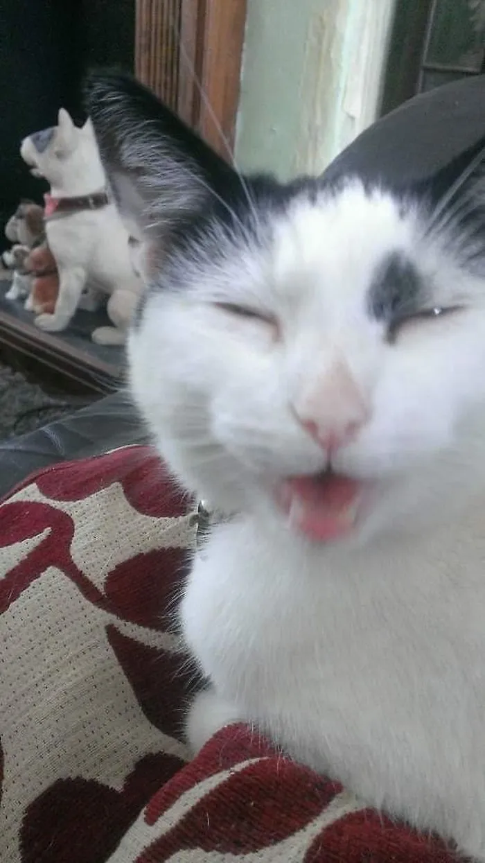 Wazzup