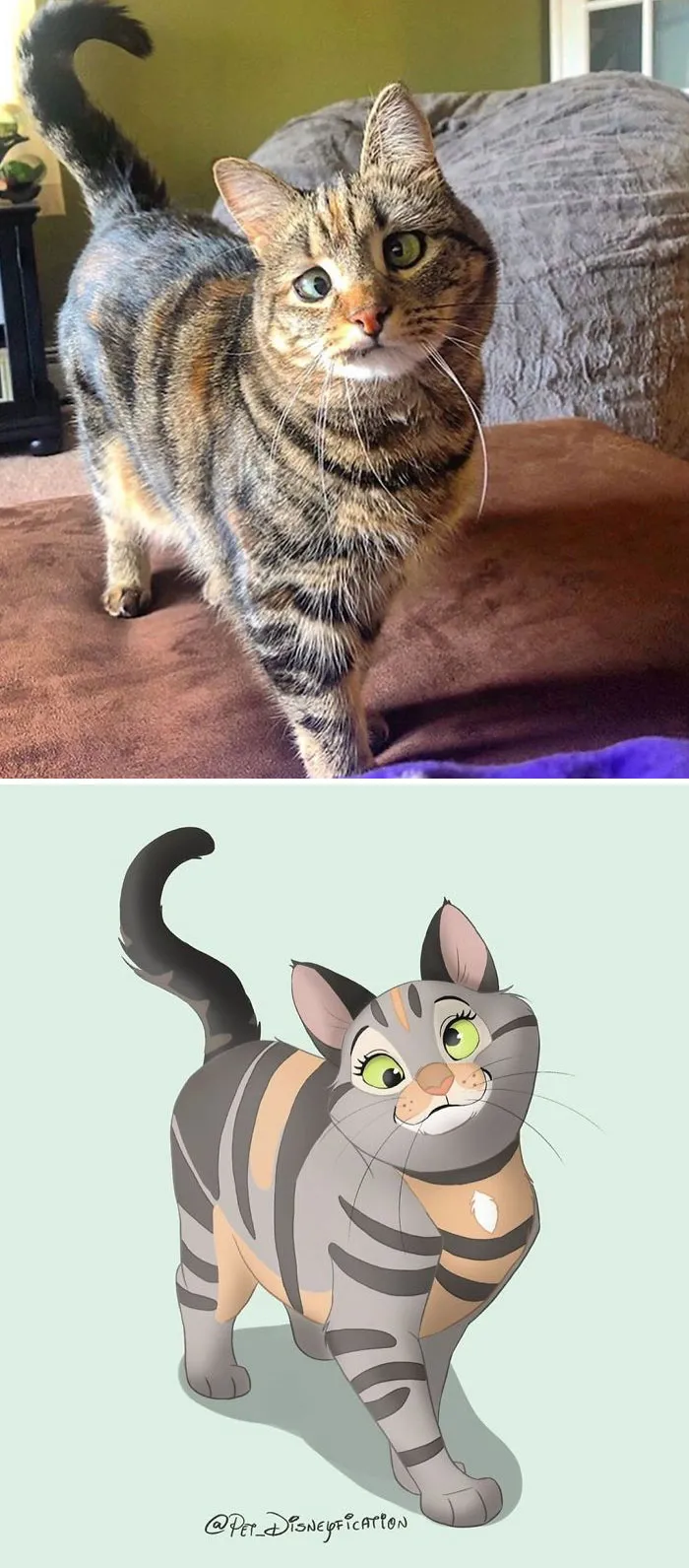 People Send Pics Of Their Pets To This Artist And She Disneyfies Them (30 Pics)