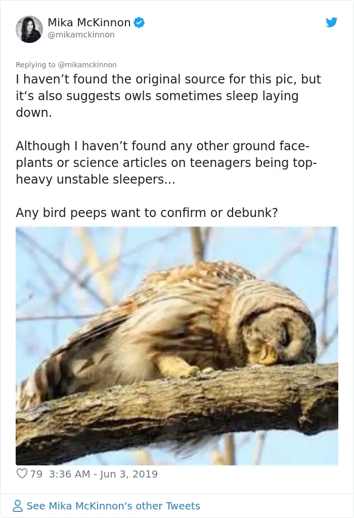 People Are Just Learning That Some Owls Sleep With Their Faces Down And Here Are 26 Pics