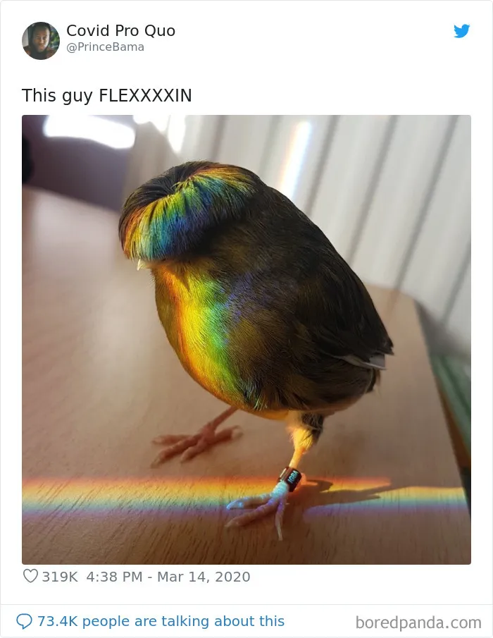 Straight From A K-Pop Album Cover
