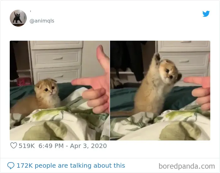 Manos arriba