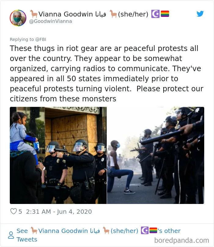 FBI Asks People To Send Evidence Of Violence During Protests, Gets Videos And Pics Of Police Violence In Response
