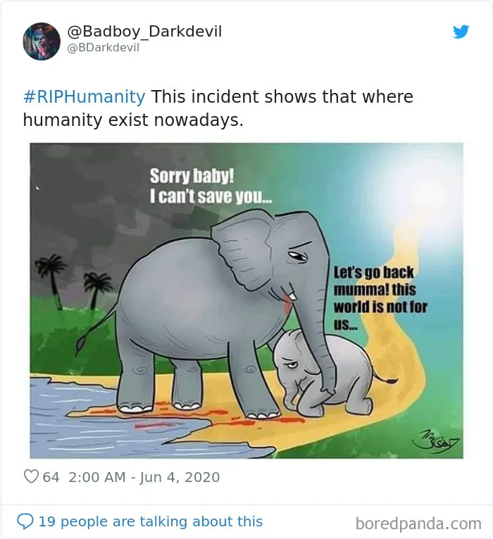 Artists Pay Tribute To The Pregnant Elephant Who Died Due To Someone Stuffing A Pineapple With Fireworks
