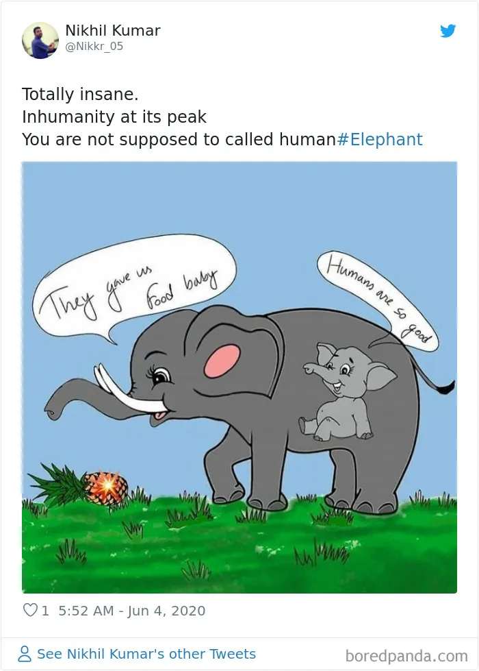 Artists Pay Tribute To The Pregnant Elephant Who Died Due To Someone Stuffing A Pineapple With Fireworks