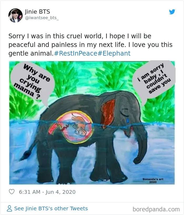 Artists Pay Tribute To The Pregnant Elephant Who Died Due To Someone Stuffing A Pineapple With Fireworks