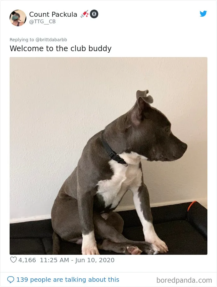 People Are Sharing Hilarious Pics Of Their Pets Sitting Like Total Weirdos In This Thread (30 Pics)