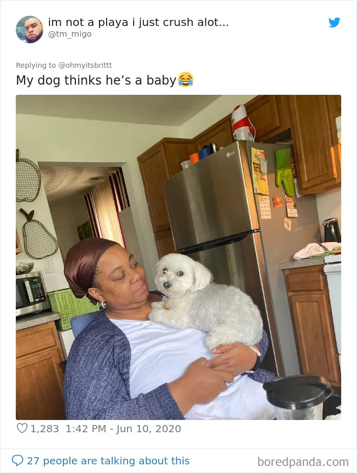 People Are Sharing Hilarious Pics Of Their Pets Sitting Like Total Weirdos In This Thread (30 Pics)