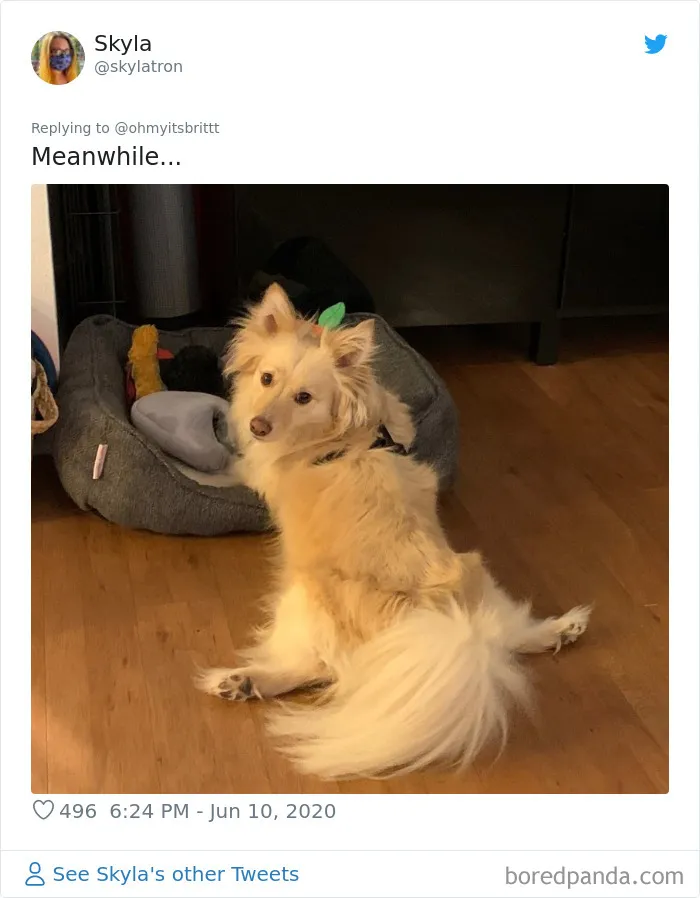 People Are Sharing Hilarious Pics Of Their Pets Sitting Like Total Weirdos In This Thread (30 Pics)