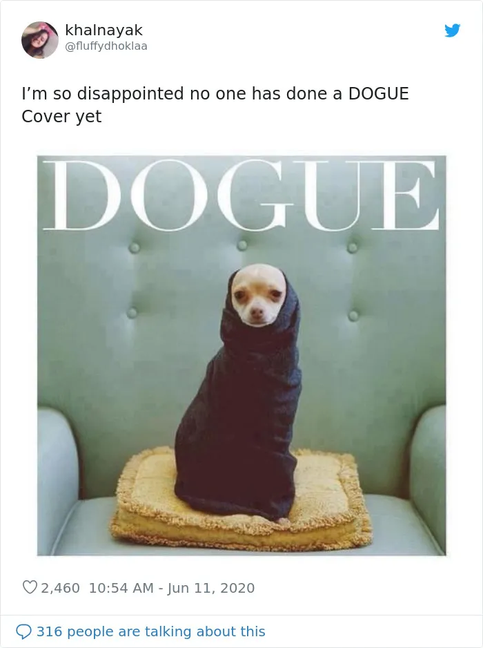People Are Creating 'Dogue' Covers By Editing Their Dogs Into Them (30 Pics)