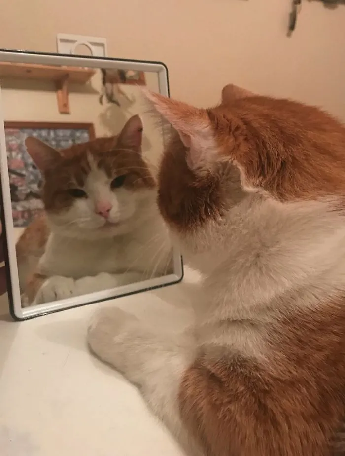 Ya sabe lo guapo que es