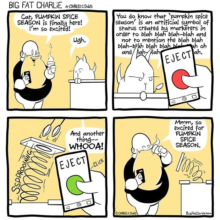 13 Comics About Being Fat, Having Diabetes, And A Cat