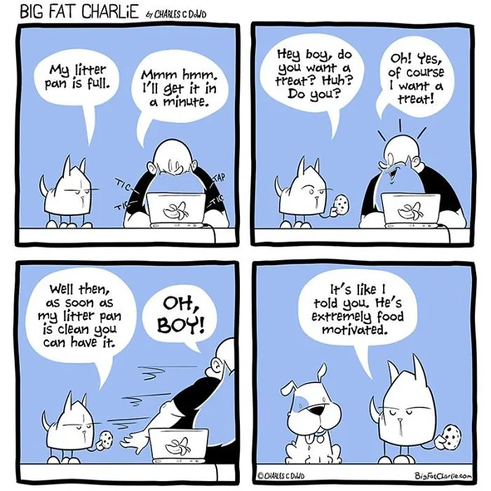 My 40 Fun Comics About My Daily Struggles As A Fat Man
