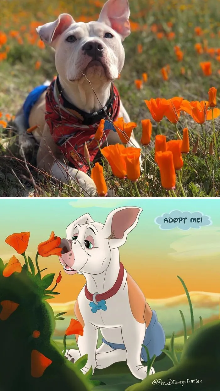 La gente envía fotos de sus mascotas a esta artista para que las "disneyfique" (30 imágenes)