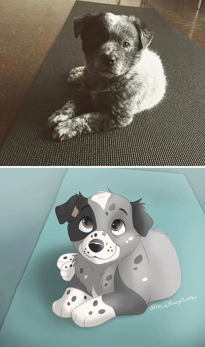 La gente envía fotos de sus mascotas a esta artista para que las "disneyfique" (30 imágenes)