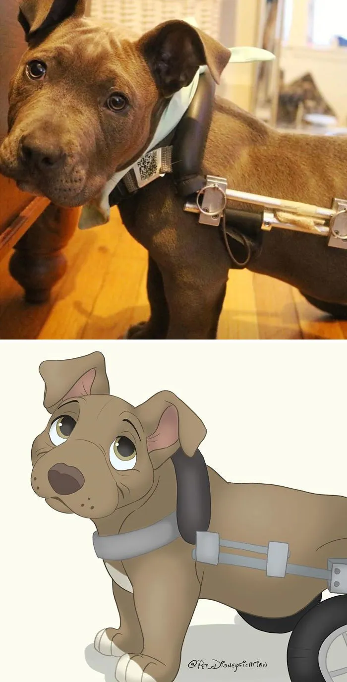La gente envía fotos de sus mascotas a esta artista para que las "disneyfique" (30 imágenes)