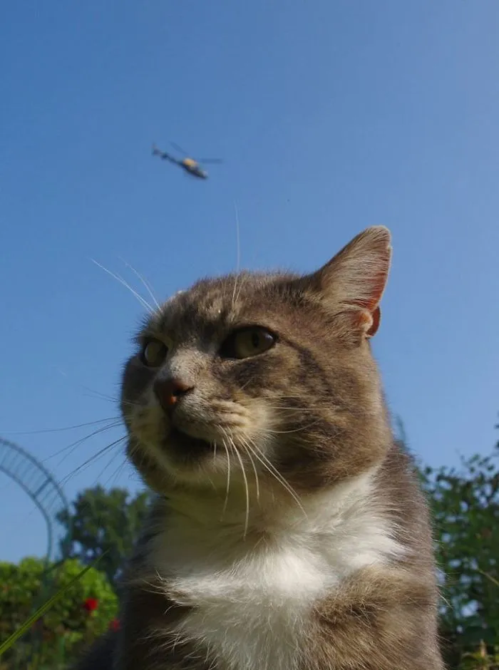 Melchett Worried That The Feds Are After His Stash
