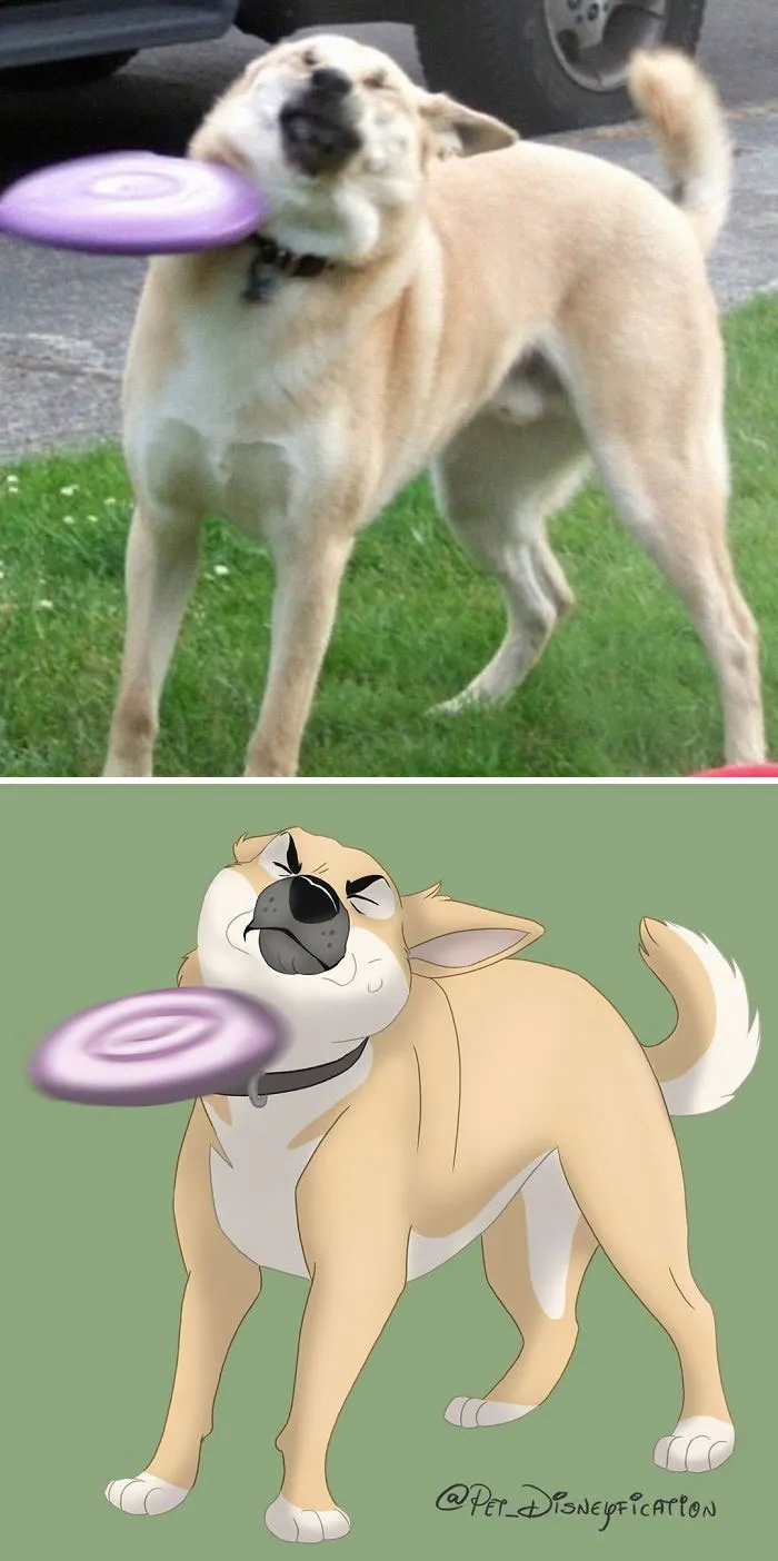 People Send Pics Of Their Pets To This Artist And She Disneyfies Them (30 Pics)