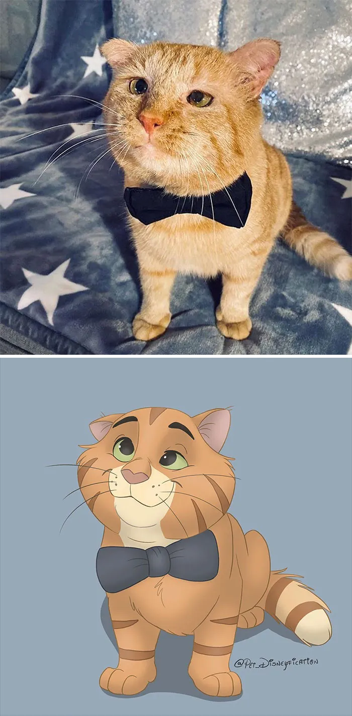People Send Pics Of Their Pets To This Artist And She Disneyfies Them (30 Pics)