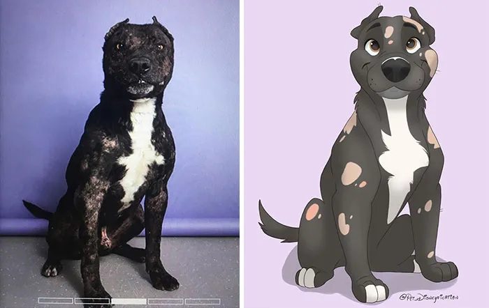 People Send Pics Of Their Pets To This Artist And She Disneyfies Them (30 Pics)