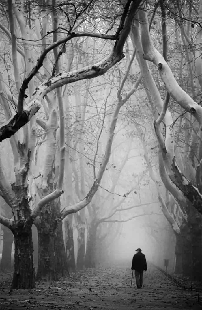 General (Black And White): 2nd Winner, Anna Niemiec