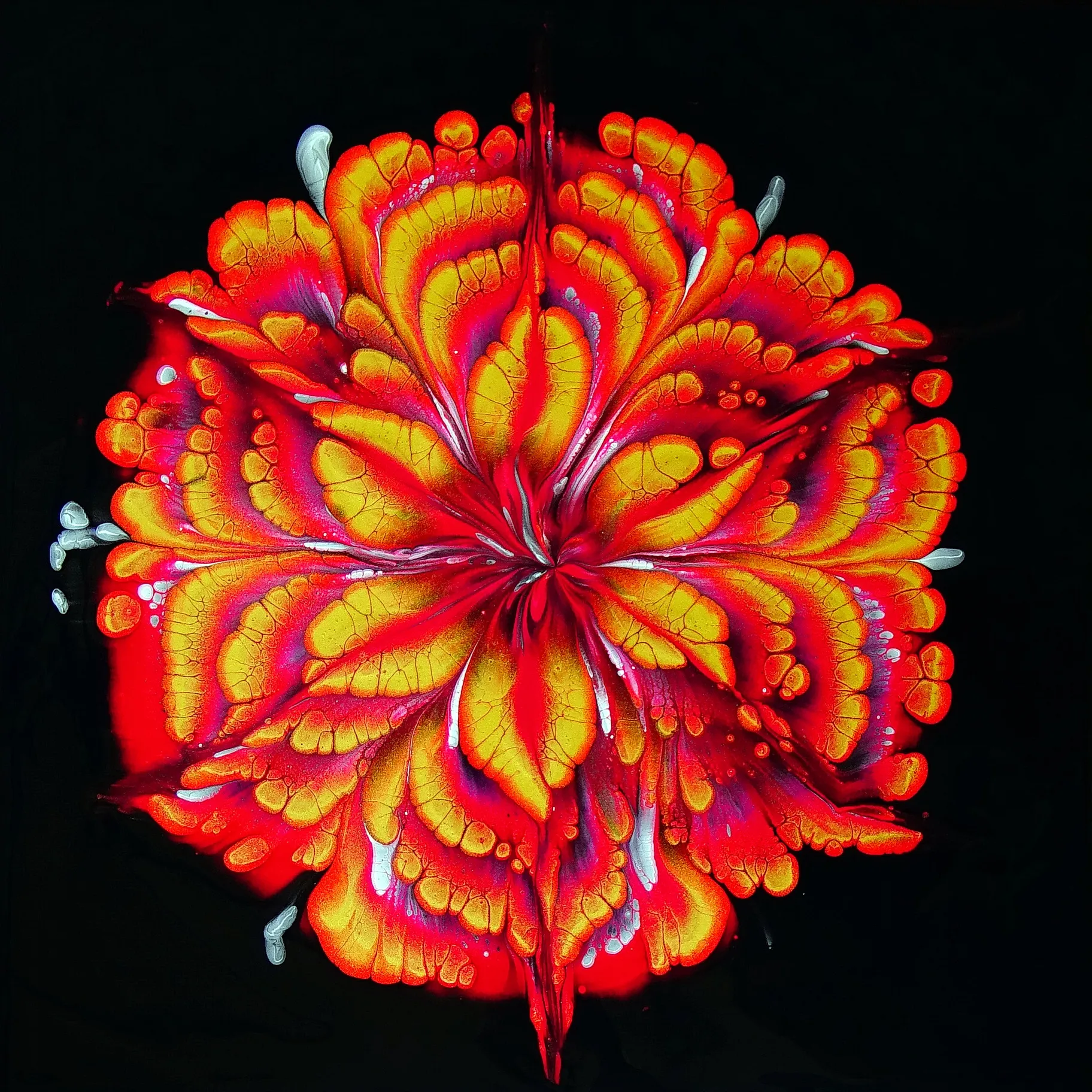 Simple Cup Bottom Acrylic Pour Flower Painting~ Only 5 Colours