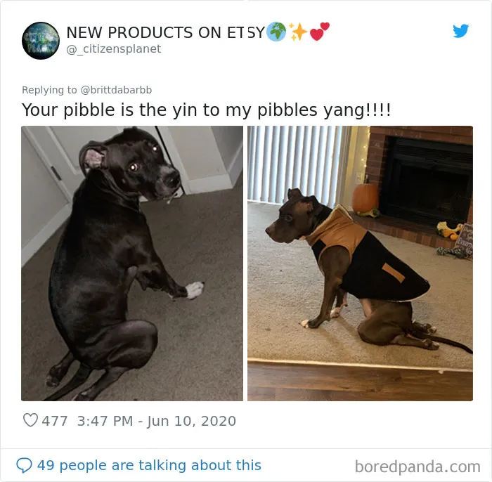 People Are Sharing Hilarious Pics Of Their Pets Sitting Like Total Weirdos In This Thread (30 Pics)