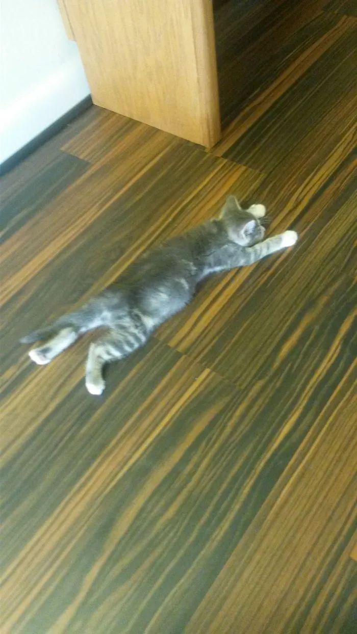 She's Taking A Nap