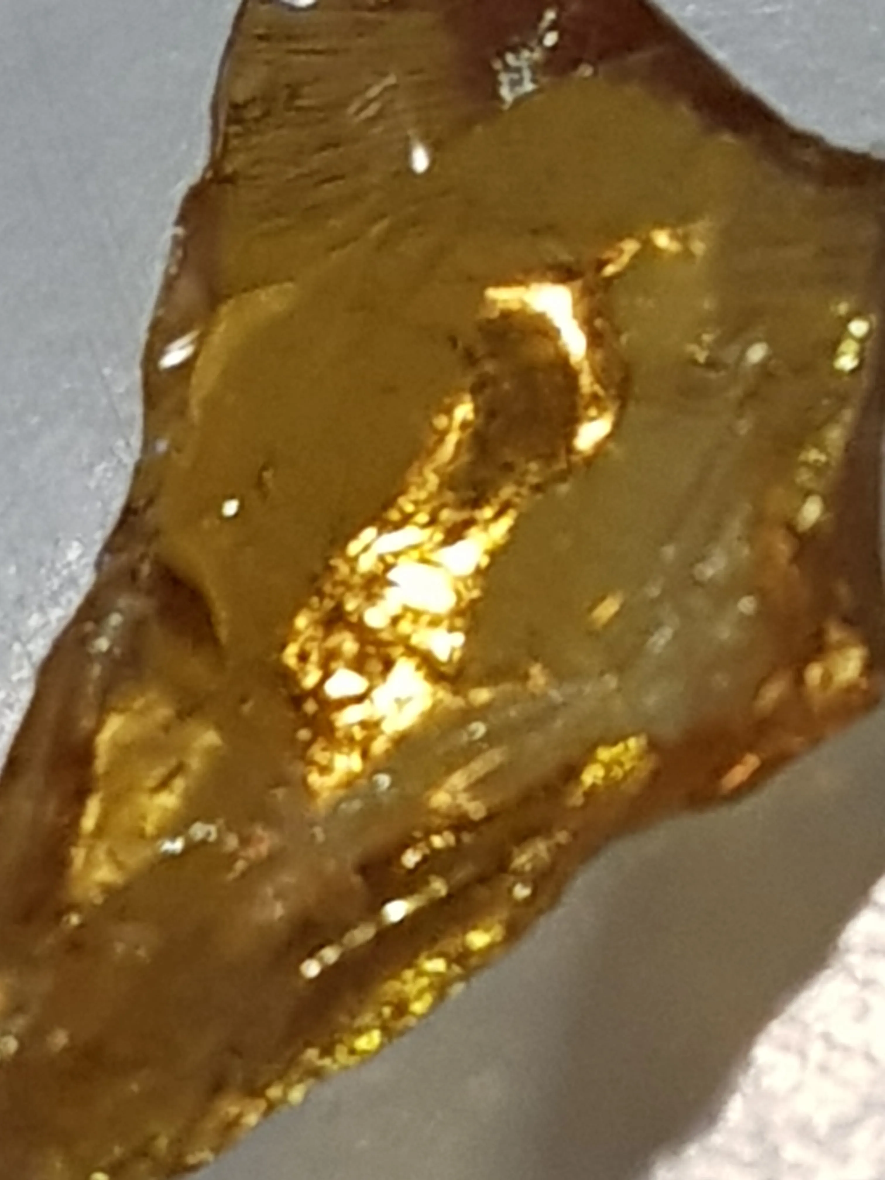 Photos I Took With My Phone