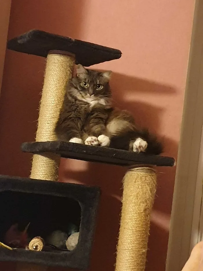 I Feel I'm Being Watched
