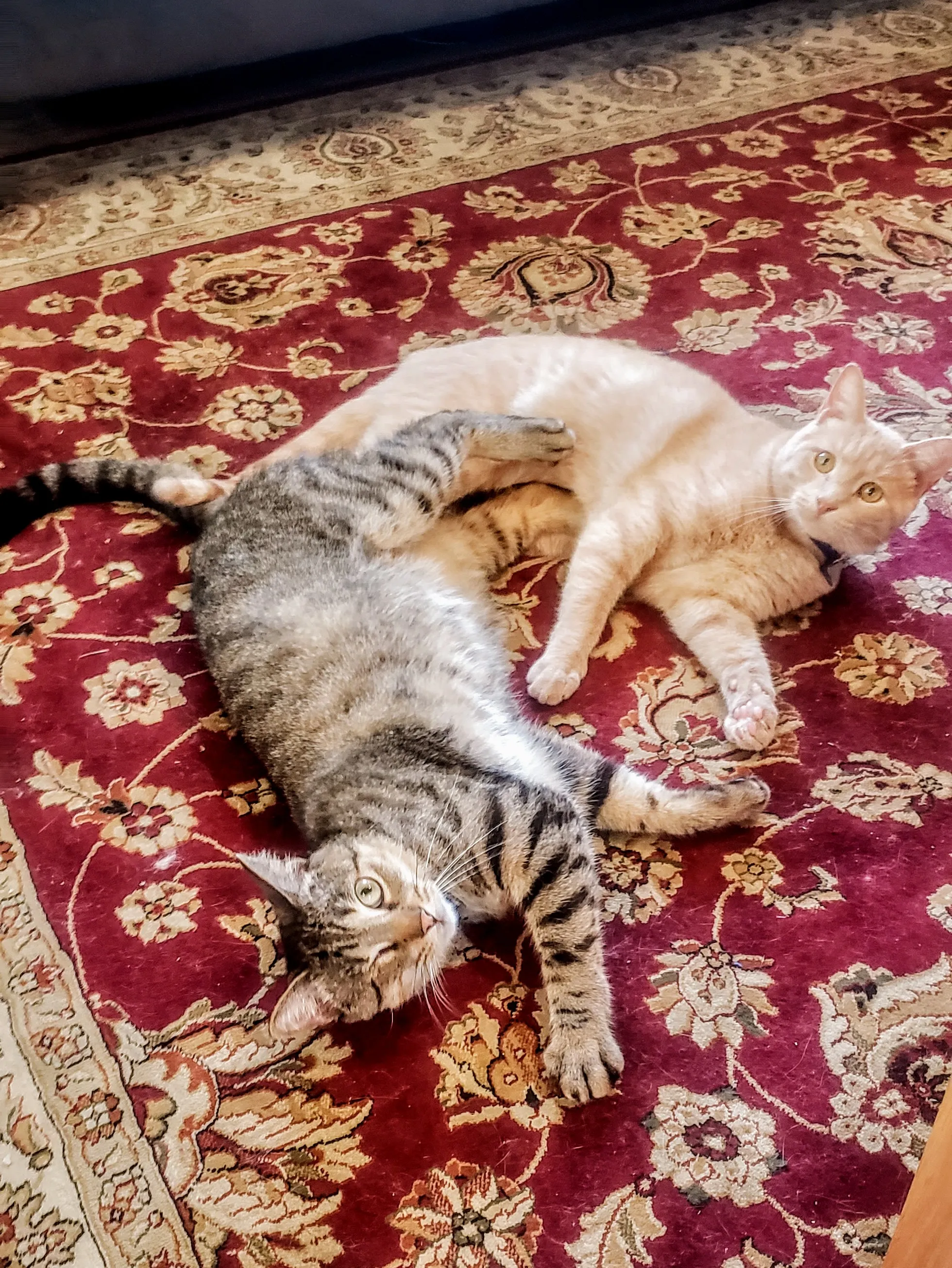 Brothers At Heart