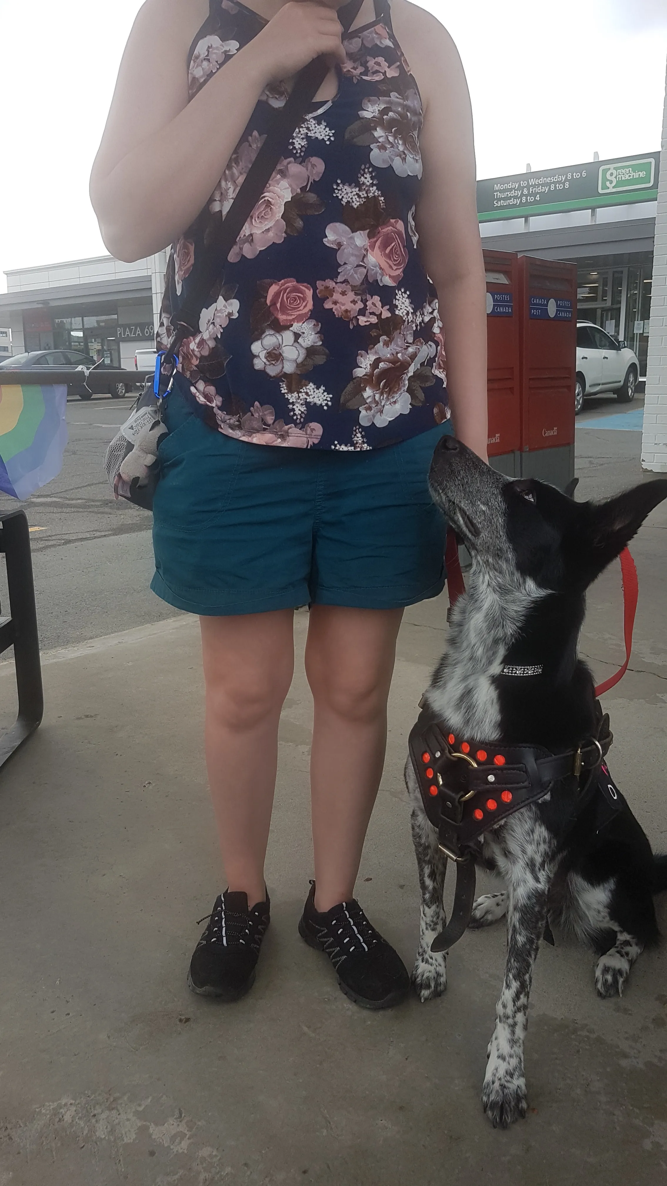 Service Dog Saves Abuse Survivor
