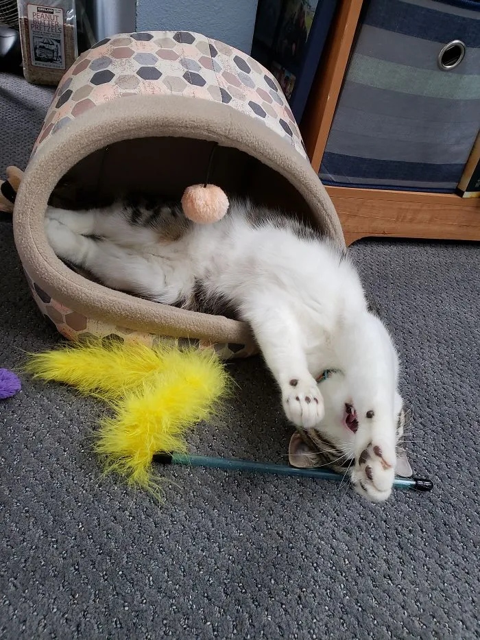 Crashed Out!