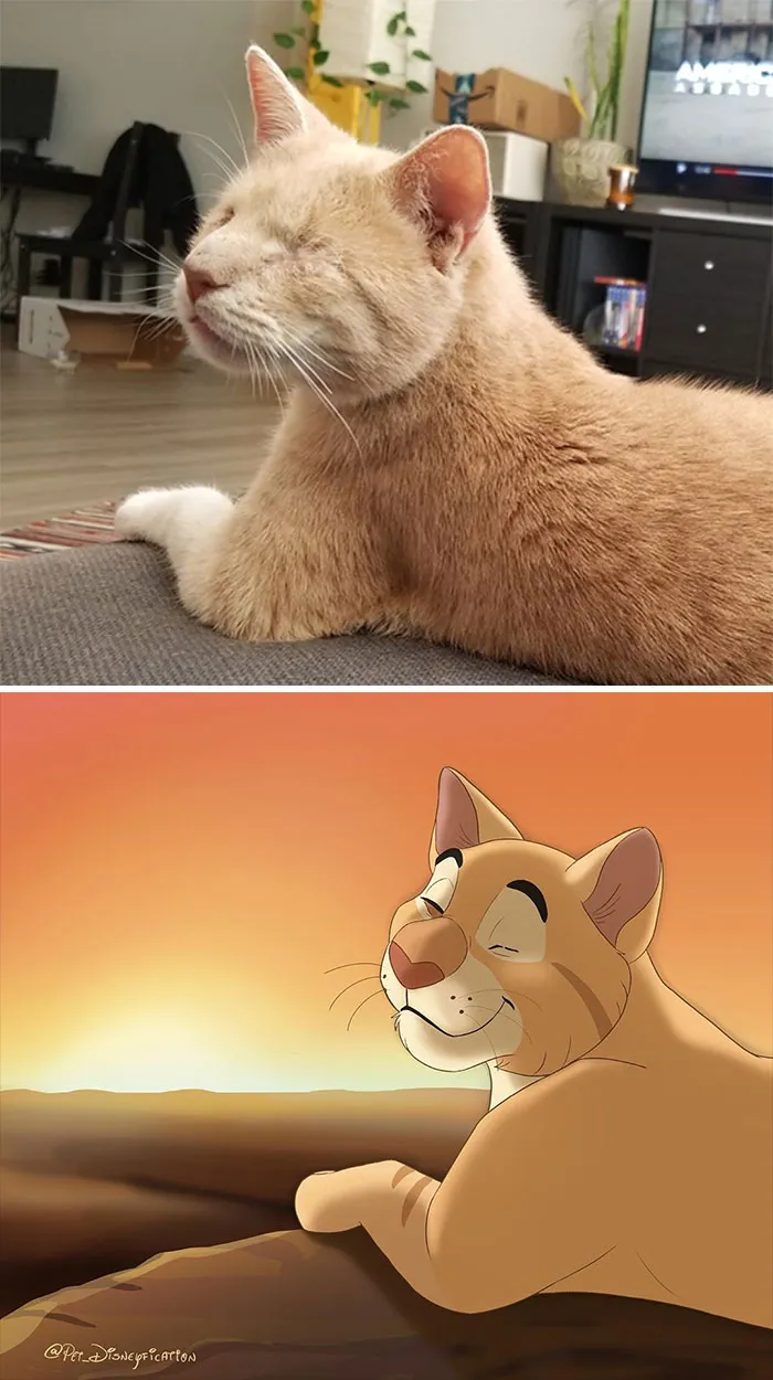 La gente envía fotos de sus mascotas a esta artista para que las "disneyfique" (30 imágenes)