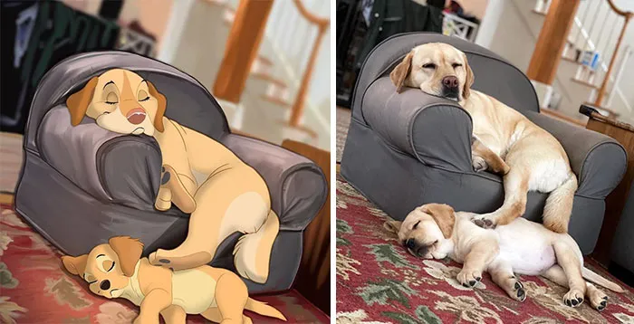 La gente envía fotos de sus mascotas a esta artista para que las "disneyfique" (30 imágenes)