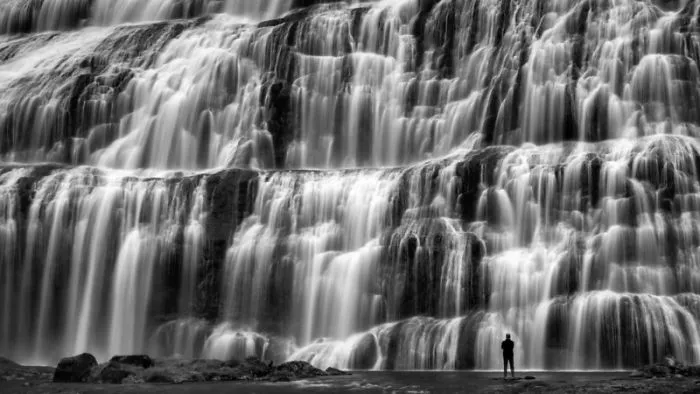 Water: 1st Winner, François Bogaerts