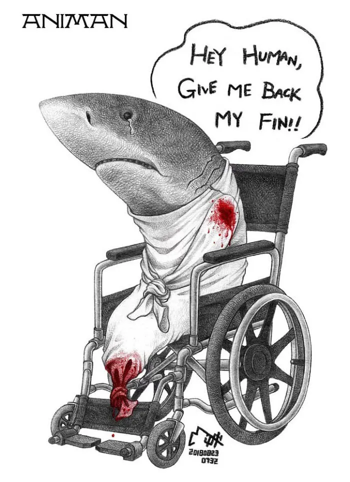 Artist Tries To Raise Awareness About Animal Abuse With These 33 Uncomfortable Illustrations