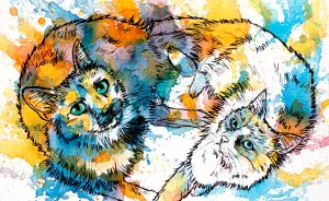 I Use Color Splatters To Paint People's Pets