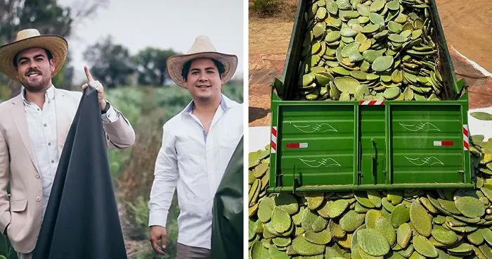 These Guys Found A Way To Make Leather Out Of Cactus Leaves To Help Save The Environment