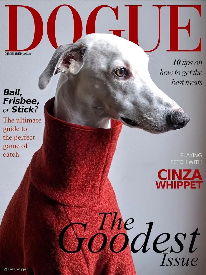 People Are Creating 'Dogue' Covers By Editing Their Dogs Into Them (30 Pics)