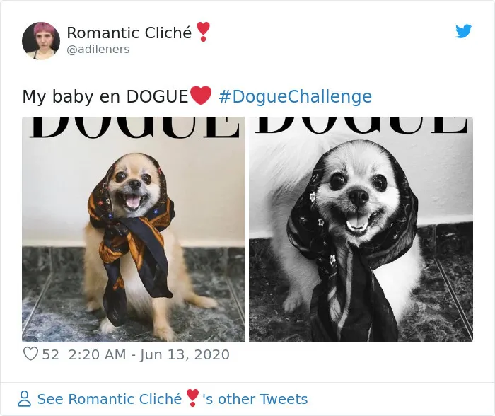 People Are Creating 'Dogue' Covers By Editing Their Dogs Into Them (30 Pics)