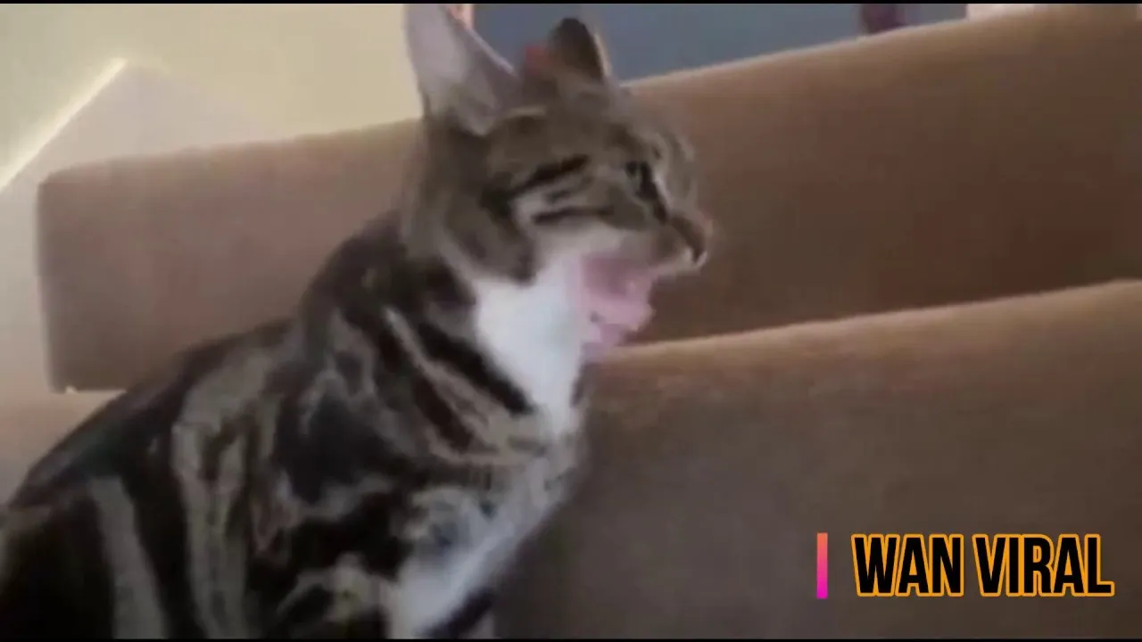 Fail Compilation June Enjoys!