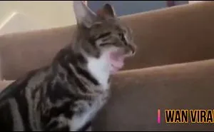 Fail Compilation June Enjoys!