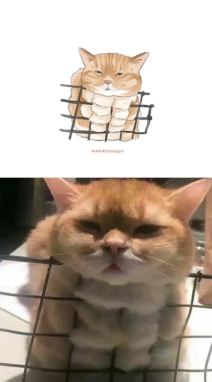 30 Of The Funniest Internet-Famous Cat Pics Get 'Watercolorized' By Amelia Rizky (New Pics)