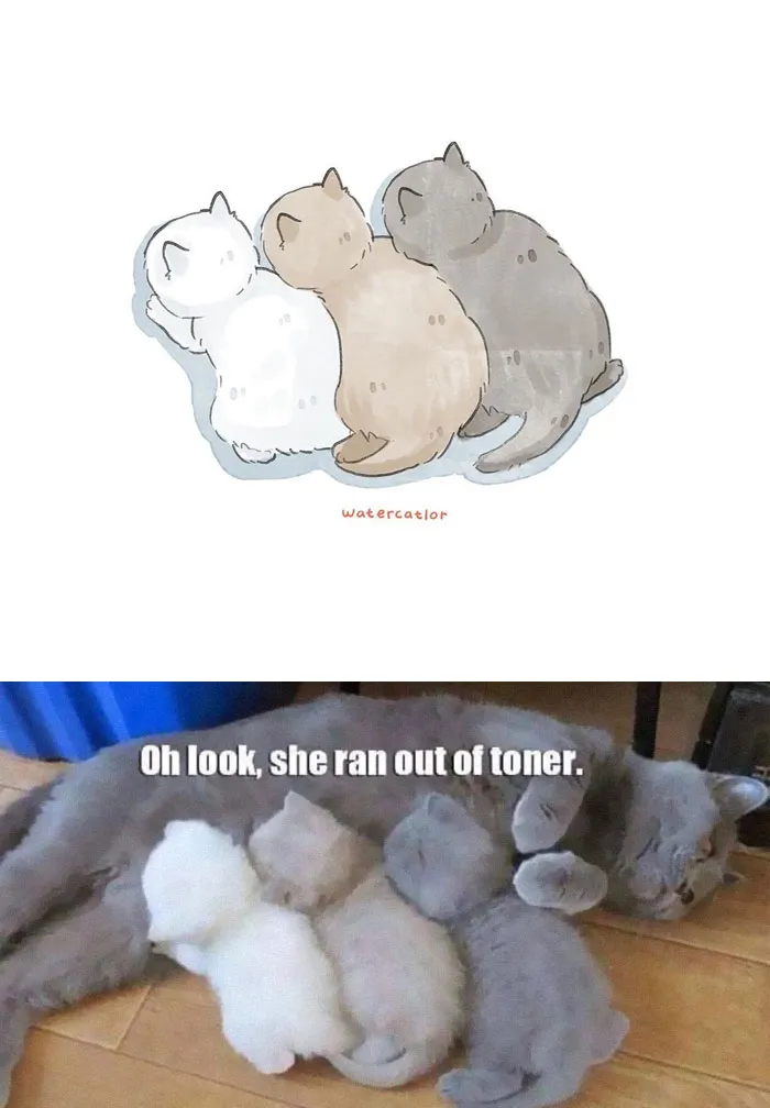 30 Of The Funniest Internet-Famous Cat Pics Get 'Watercolorized' By Amelia Rizky (New Pics)
