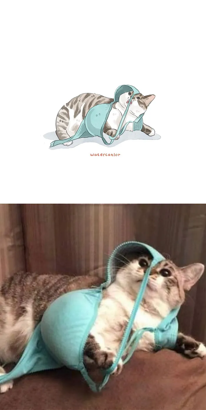 30 Of The Funniest Internet-Famous Cat Pics Get 'Watercolorized' By Amelia Rizky (New Pics)