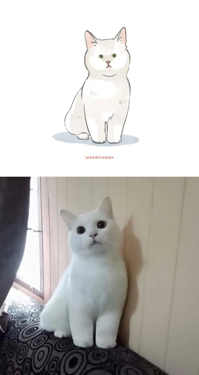 30 Of The Funniest Internet-Famous Cat Pics Get 'Watercolorized' By Amelia Rizky (New Pics)
