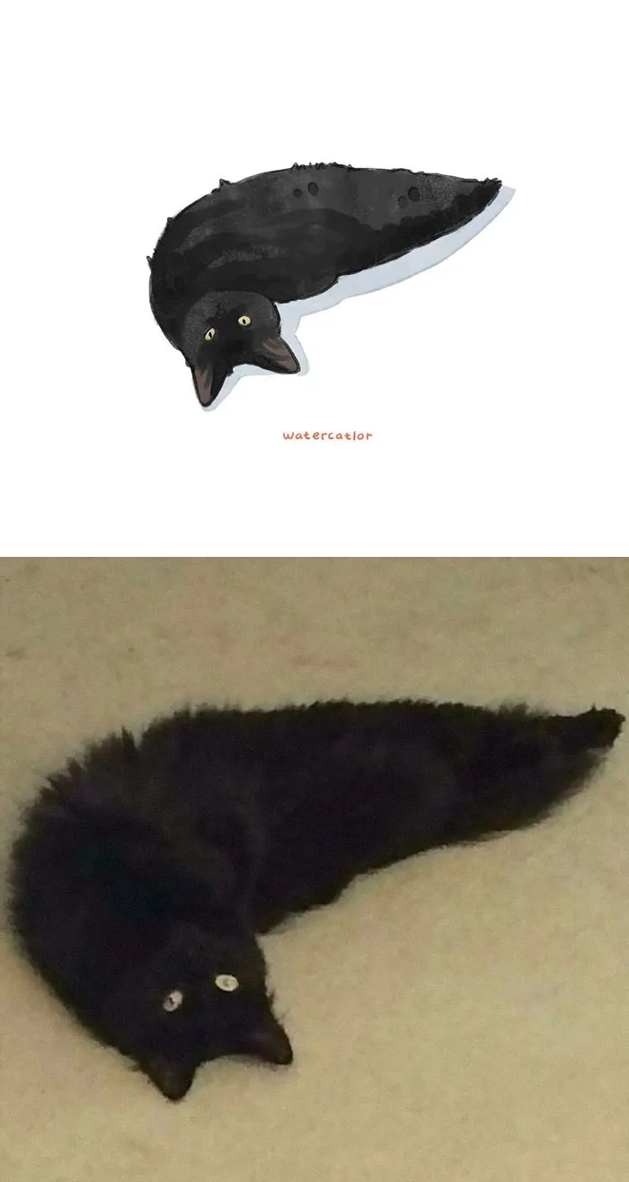 30 Of The Funniest Internet-Famous Cat Pics Get 'Watercolorized' By Amelia Rizky (New Pics)