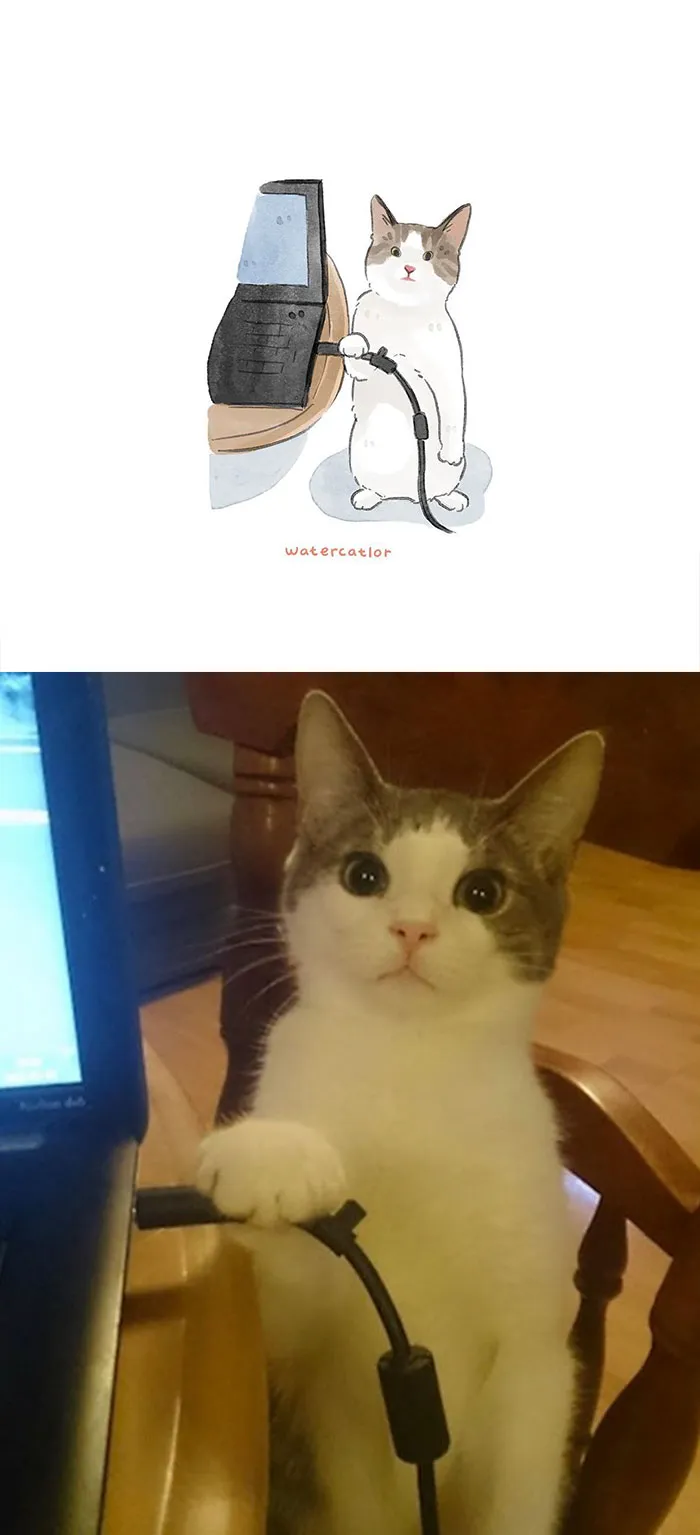 30 Of The Funniest Internet-Famous Cat Pics Get 'Watercolorized' By Amelia Rizky (New Pics)