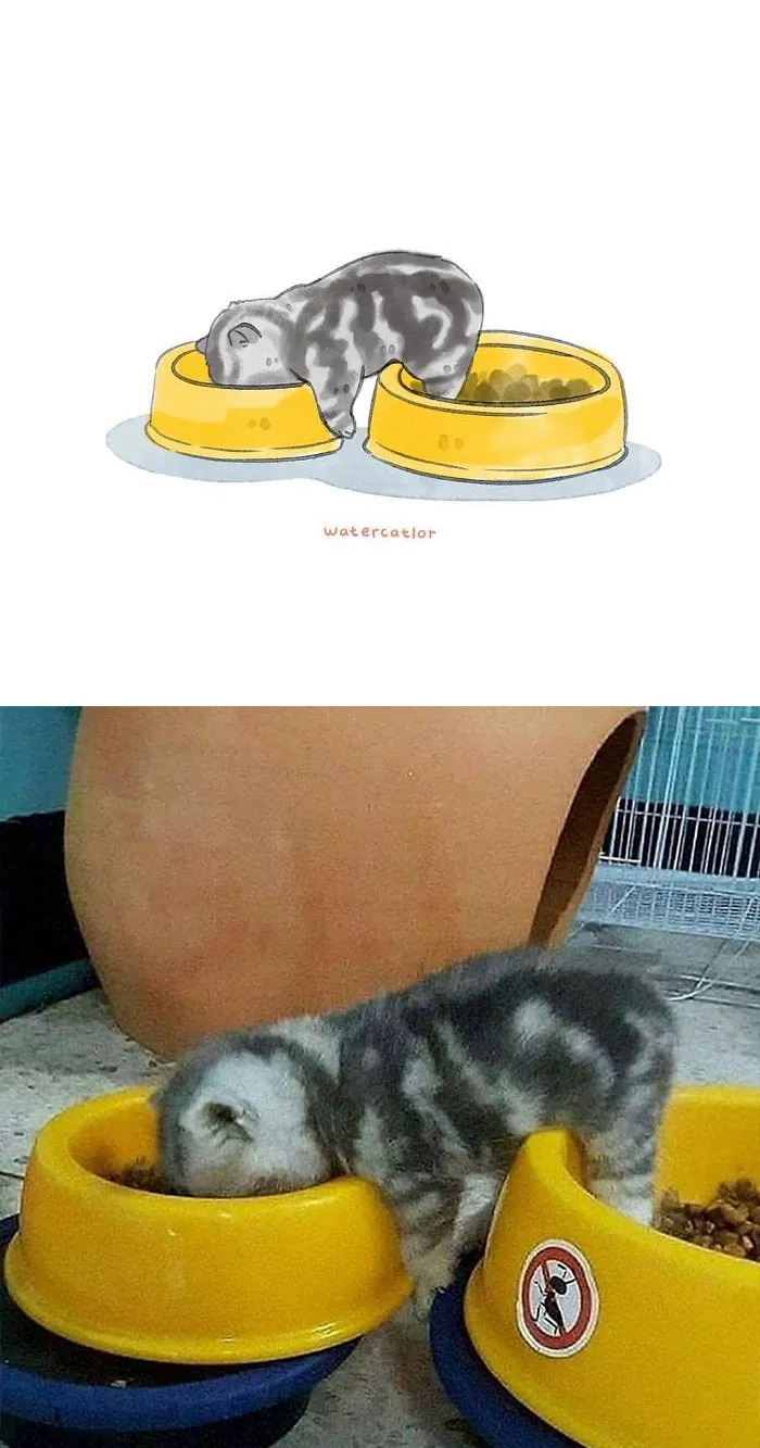 30 Of The Funniest Internet-Famous Cat Pics Get 'Watercolorized' By Amelia Rizky (New Pics)