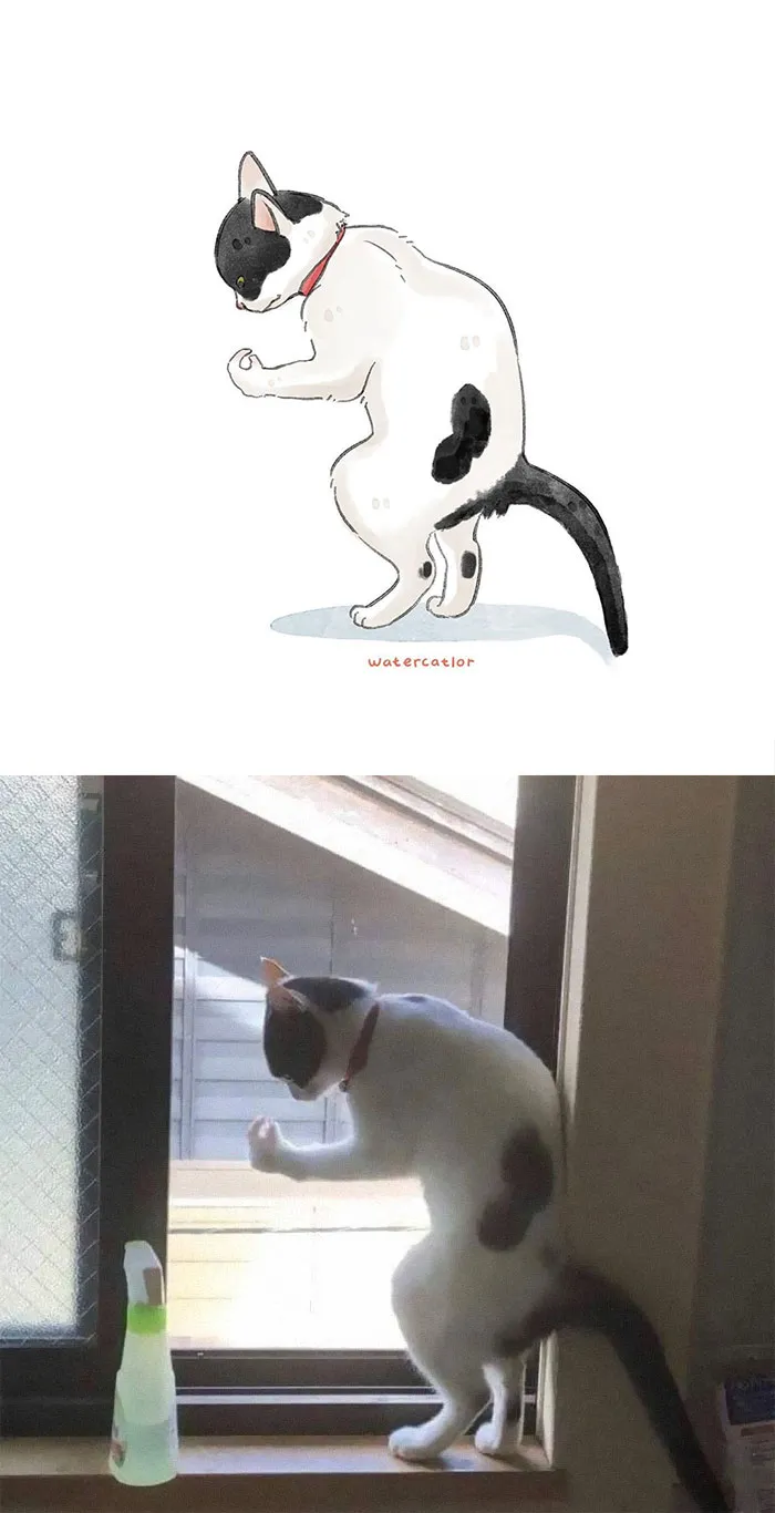 30 Of The Funniest Internet-Famous Cat Pics Get 'Watercolorized' By Amelia Rizky (New Pics)